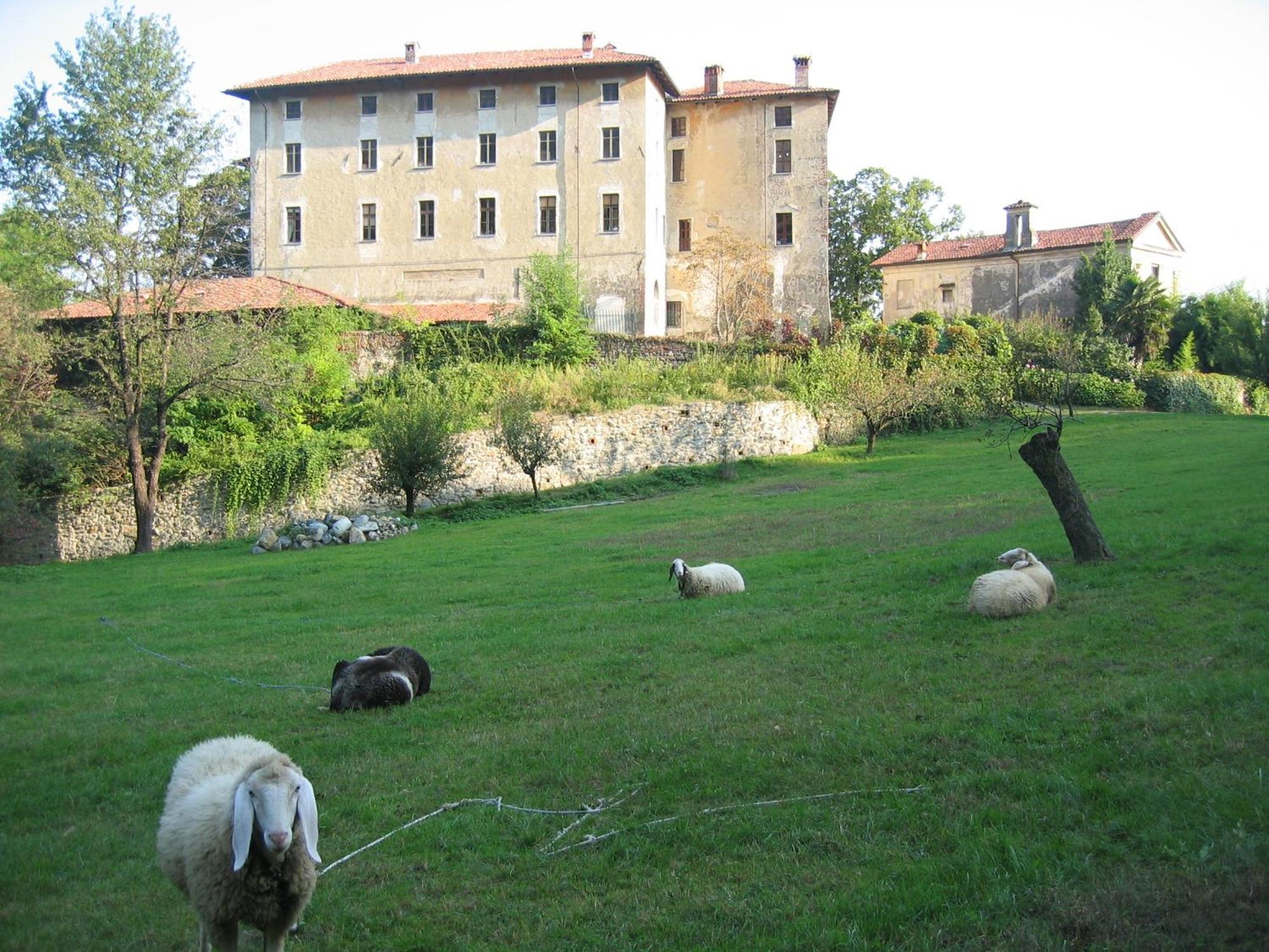 B&B Castello Di Camerletto Caselette Dış mekan fotoğraf